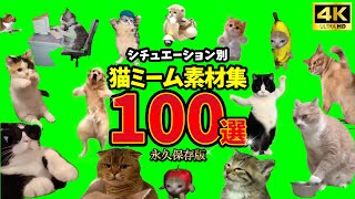 Cat Meme Collection 1: 100 Permanent Collection! Green Back (SpaceCat Green Back Screen)