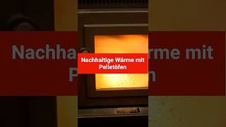 Nachhaltig Heizen Mit Pelletheizungen Und Pelletöfen