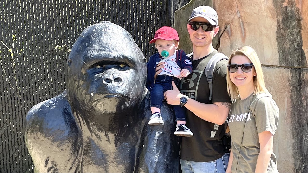 BABY'S FIRST ZOO TRIP + running errands YouTube