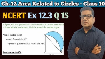 In figure 12.33 ABC is a quadrant of a circle of radius 14 cm and a semicircle is drawn with BC as