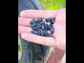 10/30Pcs Car Tyre Repair Rubber Nail Set Universal Car Motorcycle Tyre