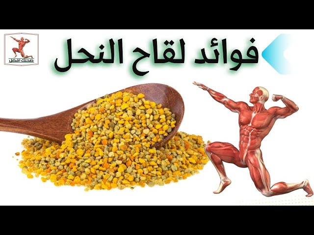 فوائد حبوب لقاح النحل للرجال