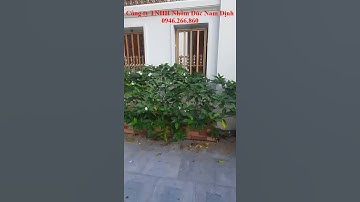 ✅ ✅ Mẫu hàng rào ô thoáng nhôm đúc cho biệt thự , | Cổng nhôm đúc Nam Định