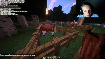 Horse Plugin review with Twister | ApexCraft