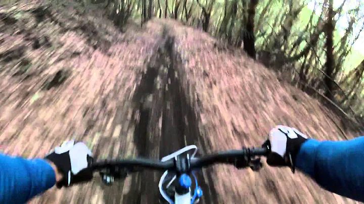 Mountain bike crash into a tree