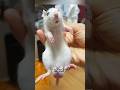 Fotos raras que nunca has visto. parte 060