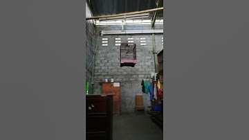 Thumbnail of Cucak rowo hutan