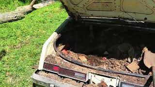 Lynyrd Skynyrd's guitar player Alan Collins car clean out after 35 years video two