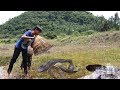 Amazing!! Two Brother Uses Bamboo Fishing (Ang Rot) - Traditional Fishing in Cambodia 2017