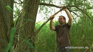 Feuerbohrer II Holzarten für Anfänger Wildniswissen