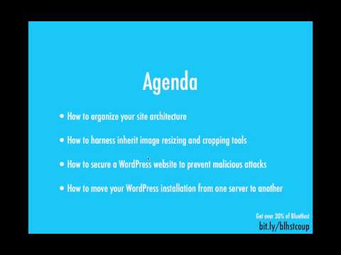 Your WordPress Problems Solved