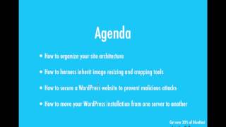 Your WordPress Problems Solved