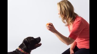 Download Lagu Teaching \ MP3