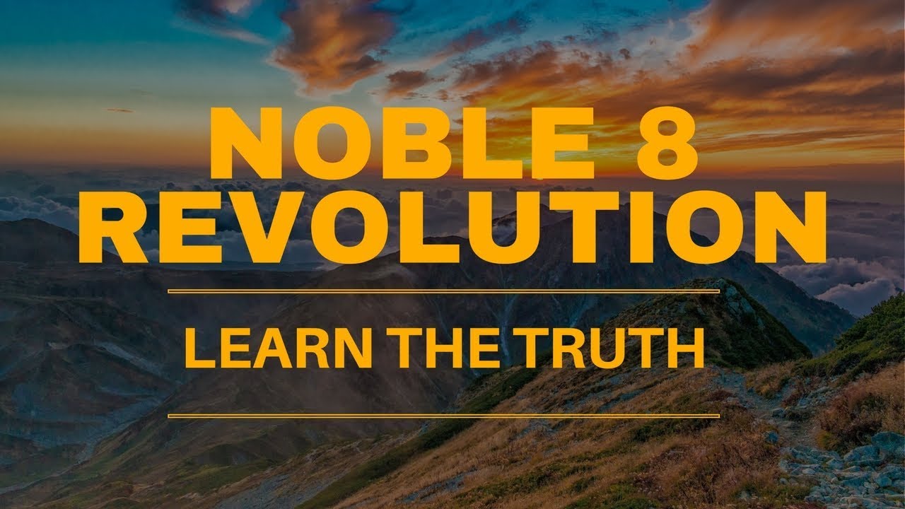 Noble 8 Revolution Review - WARNING!! SEE THIS FIRST!!