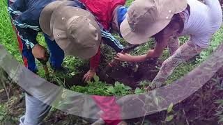 Primer Reforestación 🌳 / Mi Bosque by Fundación Plantemos 166 views 3 years ago 57 seconds