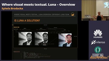 Sylwia Brodacka - Where visual meets textual. Luna - overview