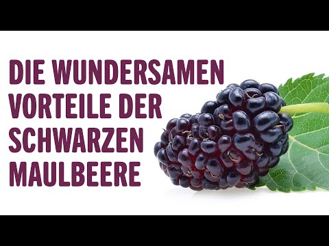 Video: Die Vorteile Von Maulbeere