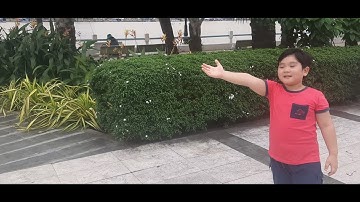 BÉ ĐỨC HUY REVIEW CẦU ĐI BỘ, BẾN NINH KIỀU, TP CẦN THƠ