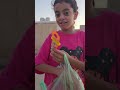 اكسبلور Shortvideo مشتريات 