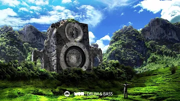 Israel Vibration - Rude Boy Shufflin' (Green Visionz Remix)