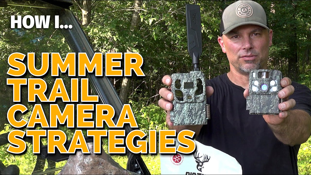 Summer Trail Camera Strategies
