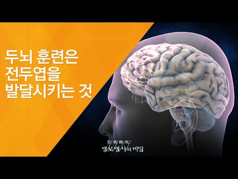 두뇌 훈련은 전두엽을 발달시키는 것 - (2011.11.26_393회 방송)_브레인 가든