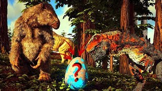 Roubando Ovo Que Um T-Rex Protegiaark Survival Evolvedpt-Br