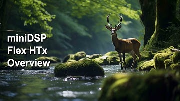 Flex HTx Setup with Device Console - miniDSP Overview