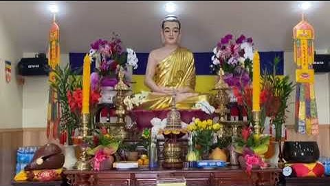 Sư cô Bích Liên tụng kinh đầu Năm Cầu nguyện cho Quốc Thái Dân An