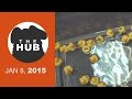 Rubber Ducky Gambling Ring | The HUB - JAN 8, 2015