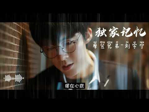 《独家记忆》 摩登兄弟-刘宇宁 翻唱 【纯享清晰版】 Liu Yuning