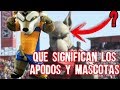 El Origen de Todos los Apodos y Mascotas del Futbol Mexicano y su EXPECTATIVA REALIDAD Boser Salseo