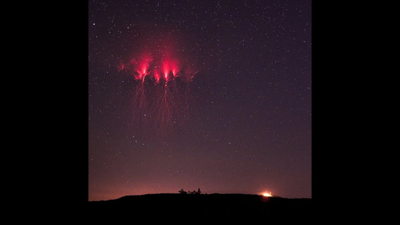 Overture 2041/Signed: From Hell, The Technopath [VISUALIZER]