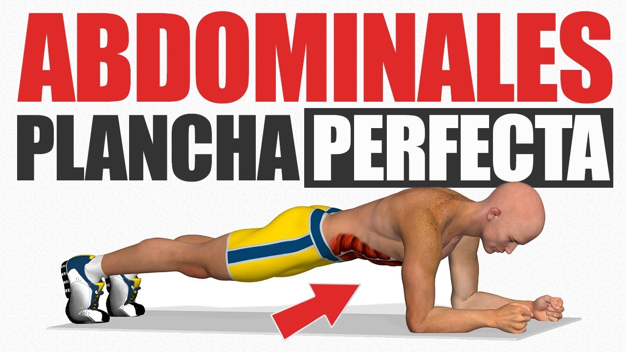 CÓMO HACER ABDOMINALES PLANCHA ABDOMINAL PERFECTA YouTube