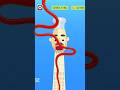 Sandwich Runner games gameplay sandwichrunner Sandwich Runner games gameplay sandwichrunner