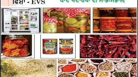 CLASS-5 EVS LESSON-10 ਖਾਦ ਪਦਾਰਥਾਂ ਦੀ ਸਾਂਭ-ਸੰਭਾਲ਼ ((KHAD PDARTHAN DI SAANBH-SAMBHAL)