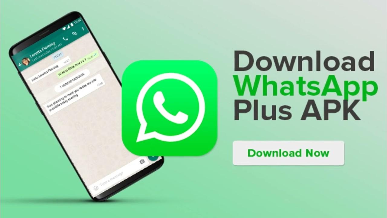 WhatsApp получил несколько новых функций - Hi-Tech Mail