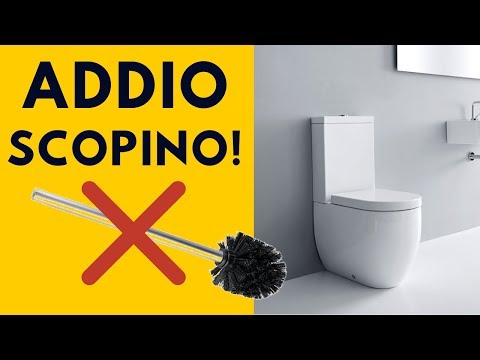 Video: Come si chiama il retro di una toilette?