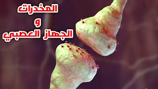 شاهد ازاي المخدرات بتأثر علي الجهاز العصبي _ How do drugs affect the nervous system