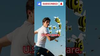 How to Survive a Killer Bee Attack? Essential Safety Guide AreThey in Your State #shorts #usa #viral