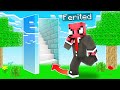FERİTED VS GÖRÜNMEZ GEÇİT 🚪 - Minecraft