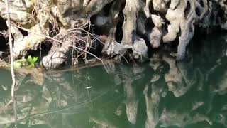 20190617 170403 mp4 1