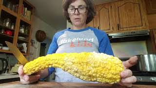 Using large crookneck squash