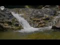 White Noise No Ads | Relax And Fall Asleep Instantly, Mindfulness White Noise for Calm Mind