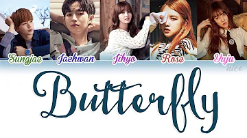 SUNGJAE (성재) JAEHWAN (재환) JIHYO (지효) ROSÈ (로제) YUJU (유주)  - BUTTERFLY Lyrics (ENG/ROM/HAN)