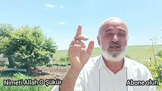 Allahın Nimetleri Ve Şükür