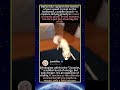 Wild Animals’ Most Cringey Moments Caught On Camera