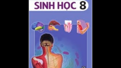 Sinh học 8 Bài 38: Bài tiết và cấu tạo hệ bài tiết nước tiểu