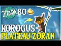 Toutes les noix korogu du plateau zoran dans zelda tears of the kingdom  tuto zelda totk