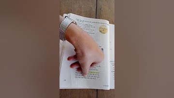 Tập đọc lớp 3  Tuần 22  Cái cầu  Sgk 34  Kênh học Online cho học sinh tiểu học và trung học online v